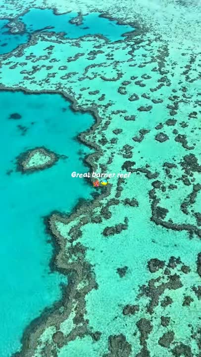 Vidéo voyage — la Grande Barrière de corail vue du ciel